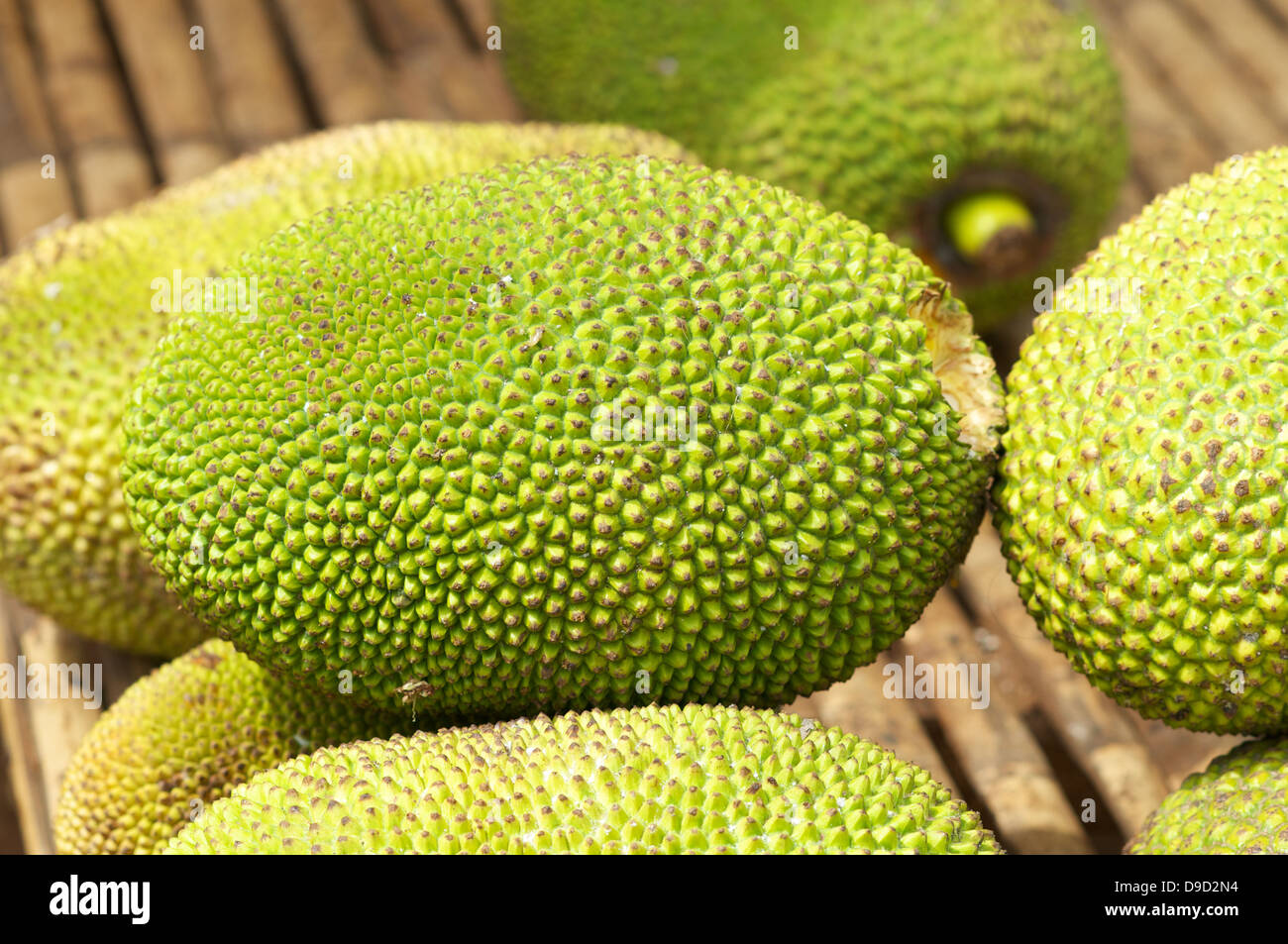 Jackfruit in market,Cambodia Stock Photo Alamy