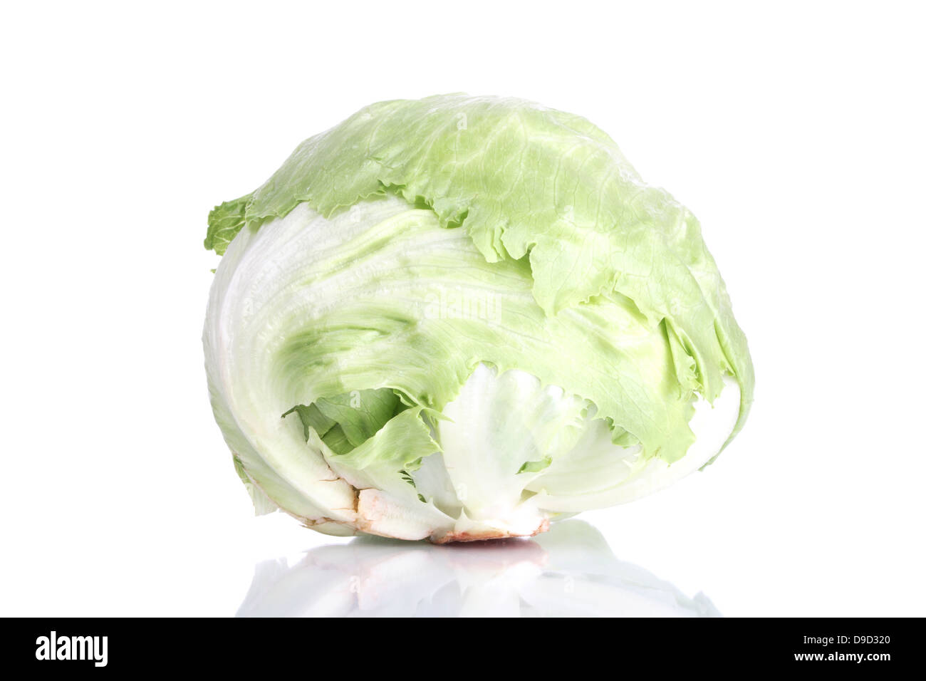 Iceberg Lettuce Garden High Resolution Stock Photography And Images Alamy