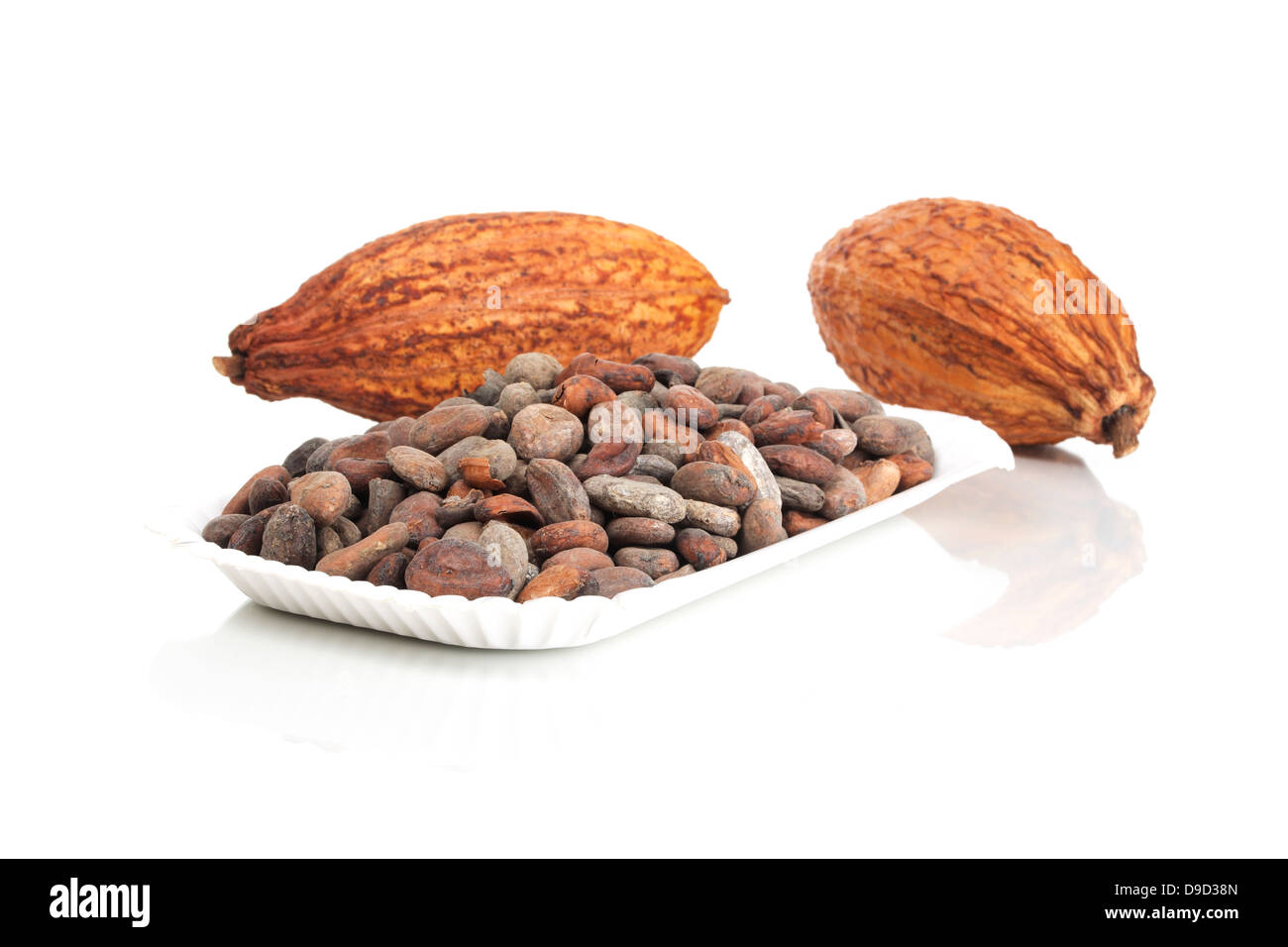 Cacao beans with cocoa fruit Stock Photo Alamy