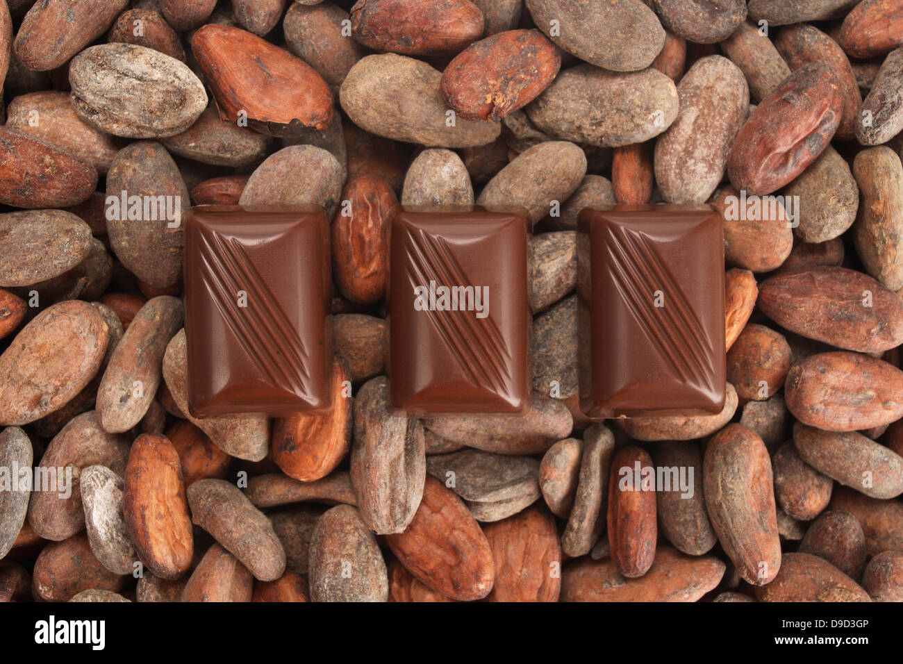 Chocolate with cacao beans Stock Photo Alamy