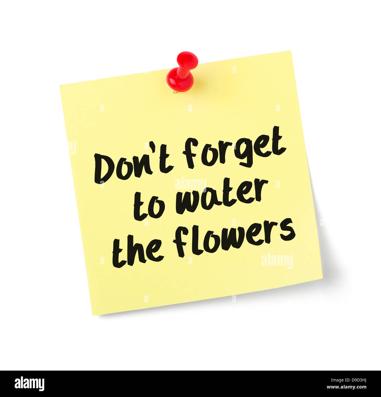 Yellow paper note with text Dont forget to water the flowers Stock Photo