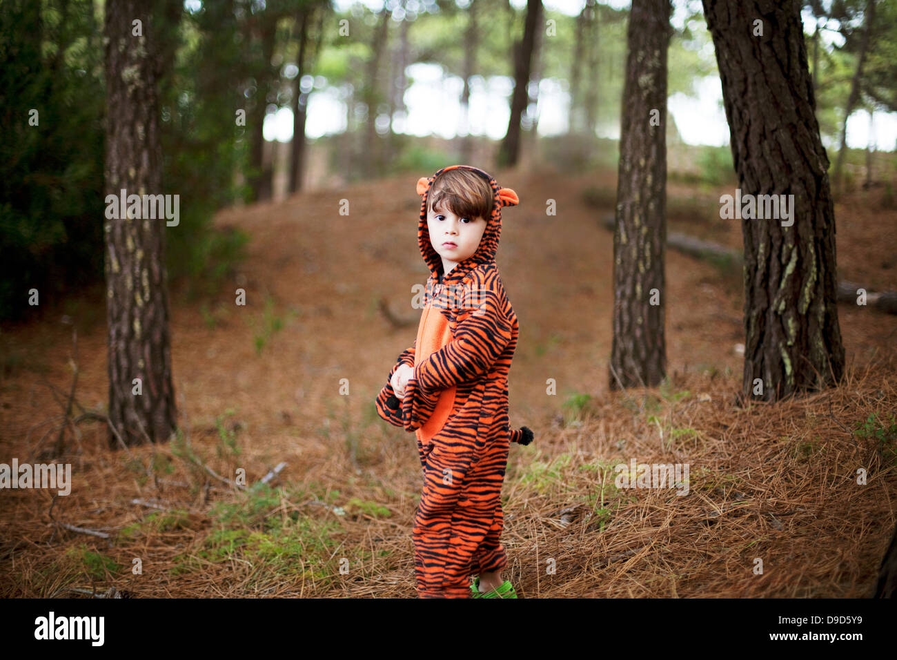 Portrait of male toddler wearing tiger suit alone in woods Stock Photo