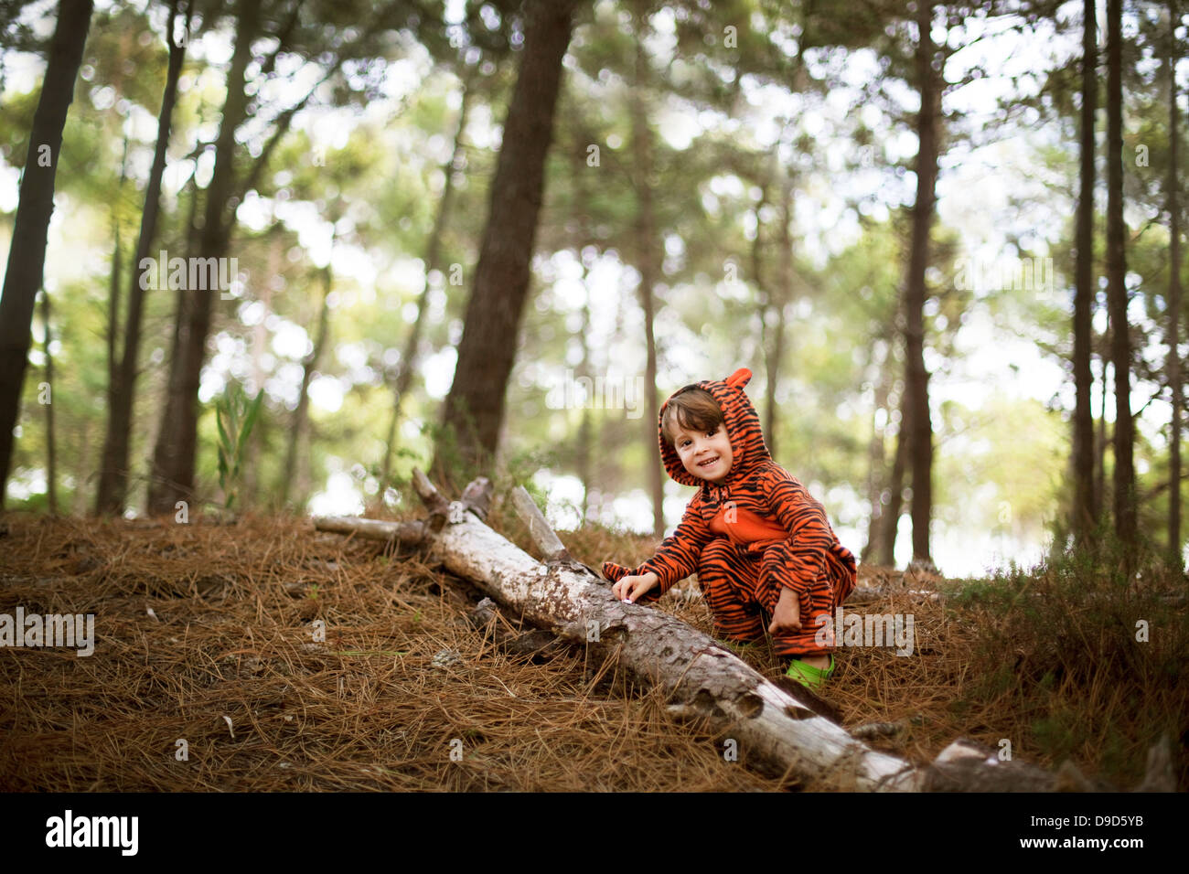 Portrait of male toddler wearing tiger suit playing in woods Stock Photo