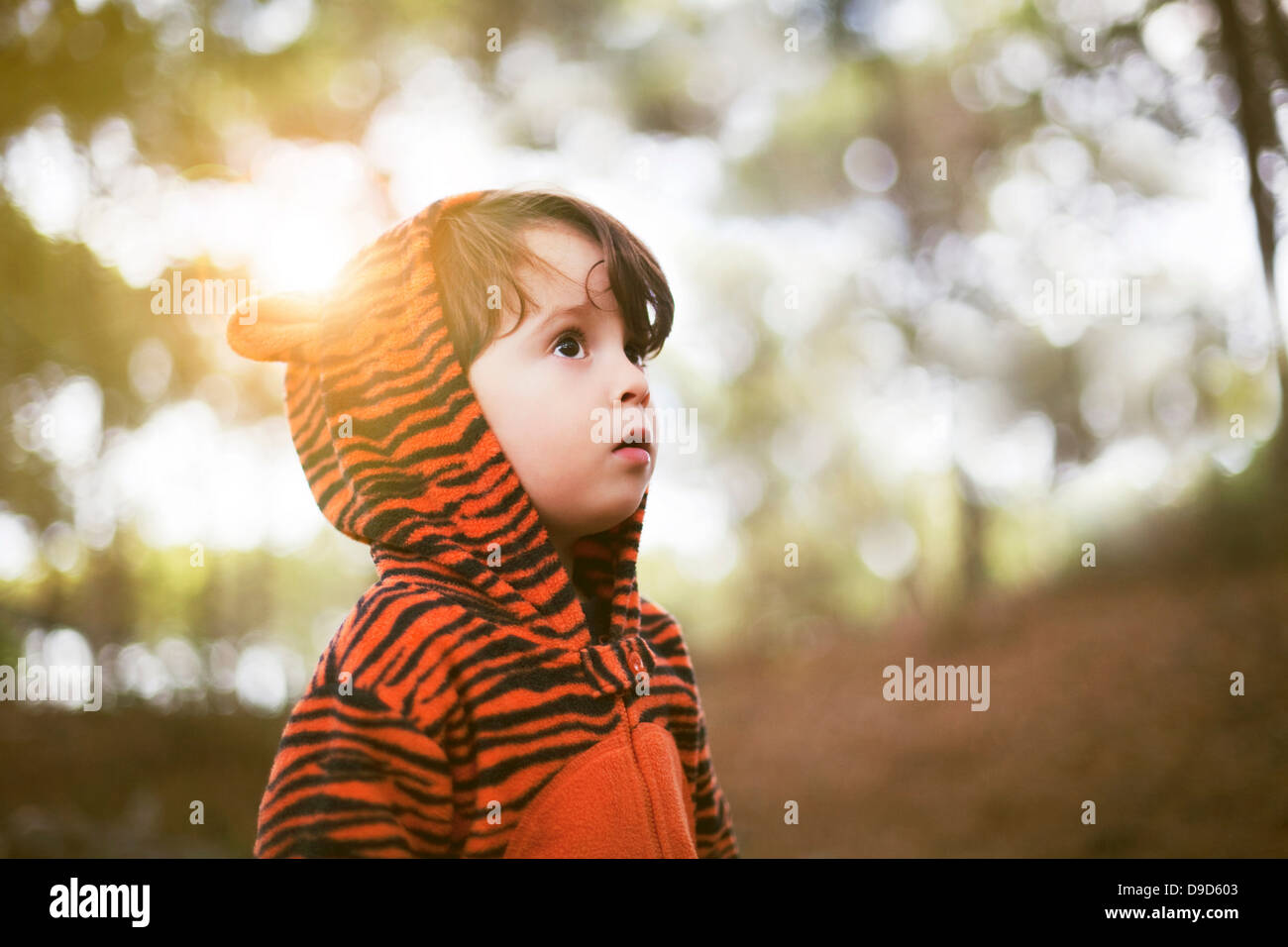 Portrait of male toddler in tiger suit alone in woods Stock Photo