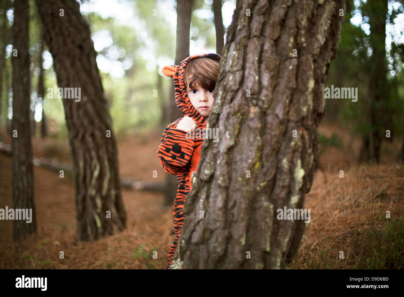 Male toddler wearing tiger suit hiding behind tree Stock Photo