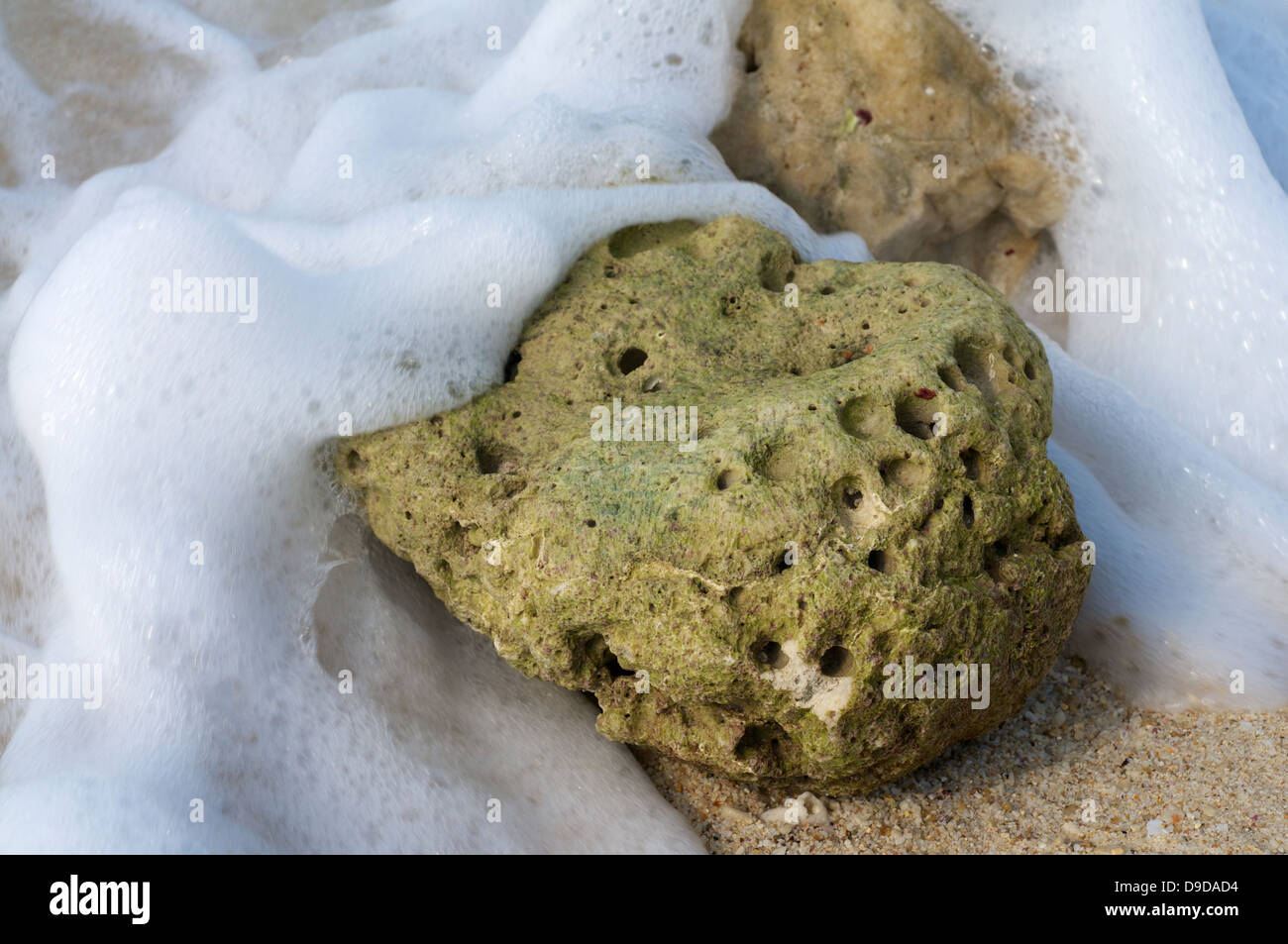 Beach rock with foam Stock Photo - Alamy