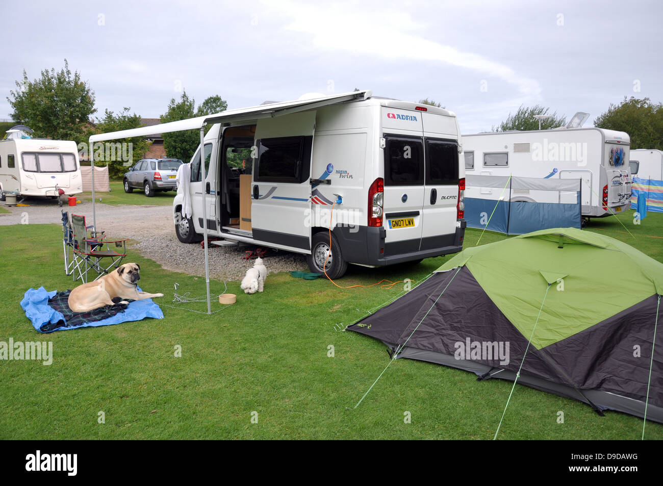A motorhome, tent and dogs on their camping pitch in Sussex, England, UK. Caravans in the background. Stock Photo