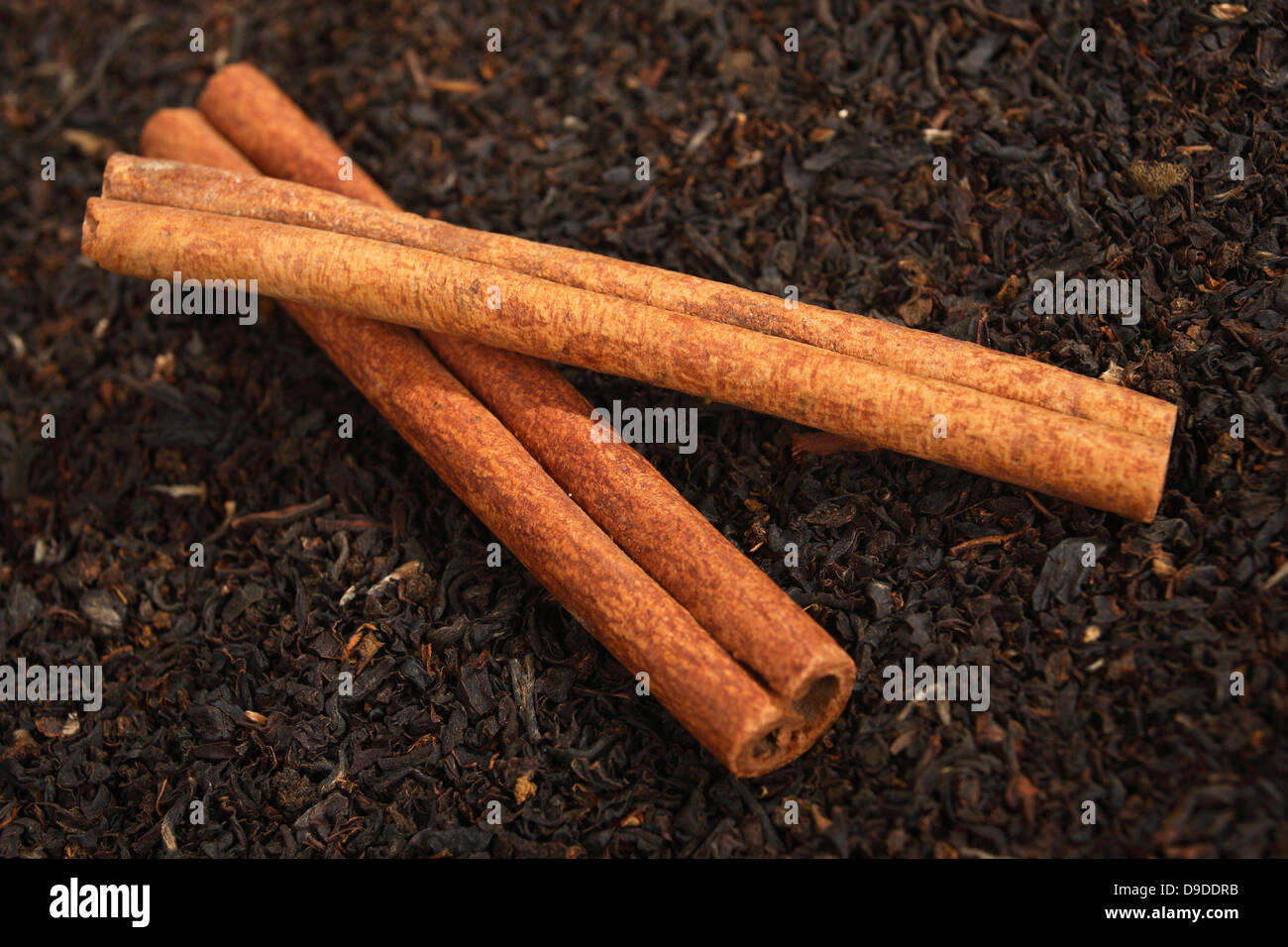 Tea mixture with cinnamon sticks Stock Photo