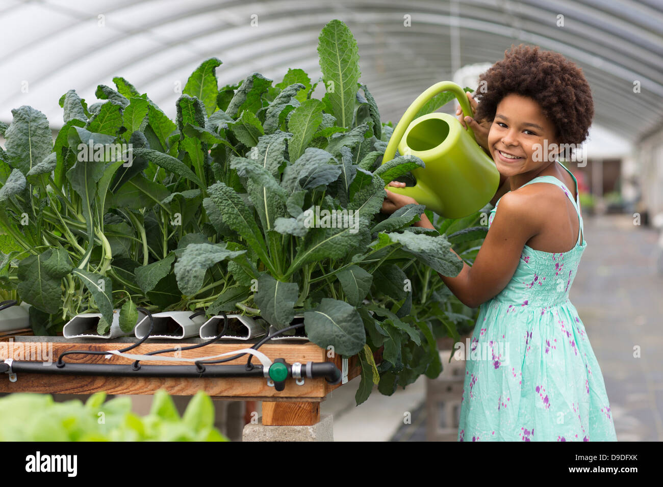 Girl watering plants in greenhouse Stock Photo - Alamy