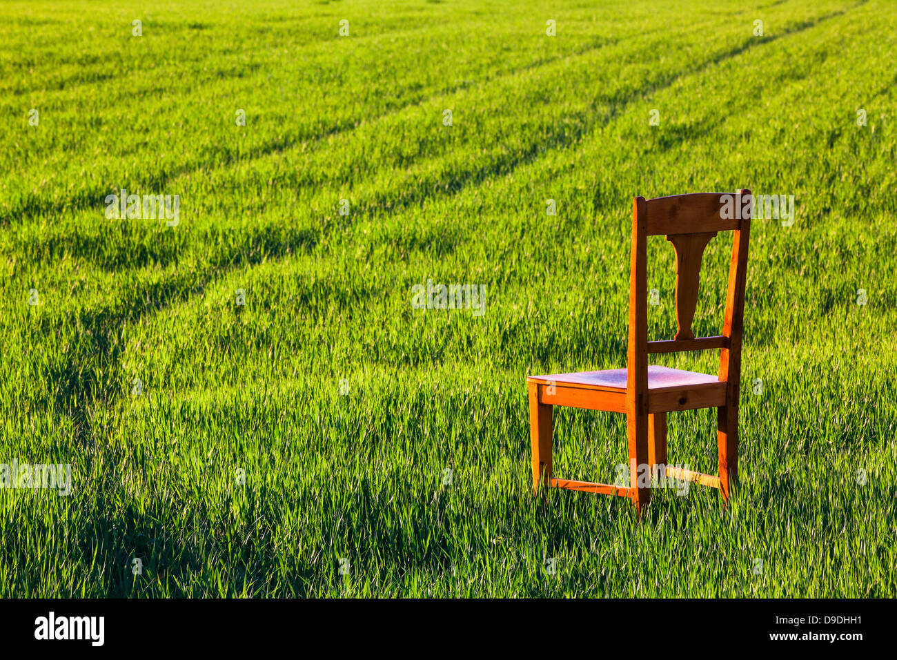 Empty chair at the corn field at sunset Stock Photo