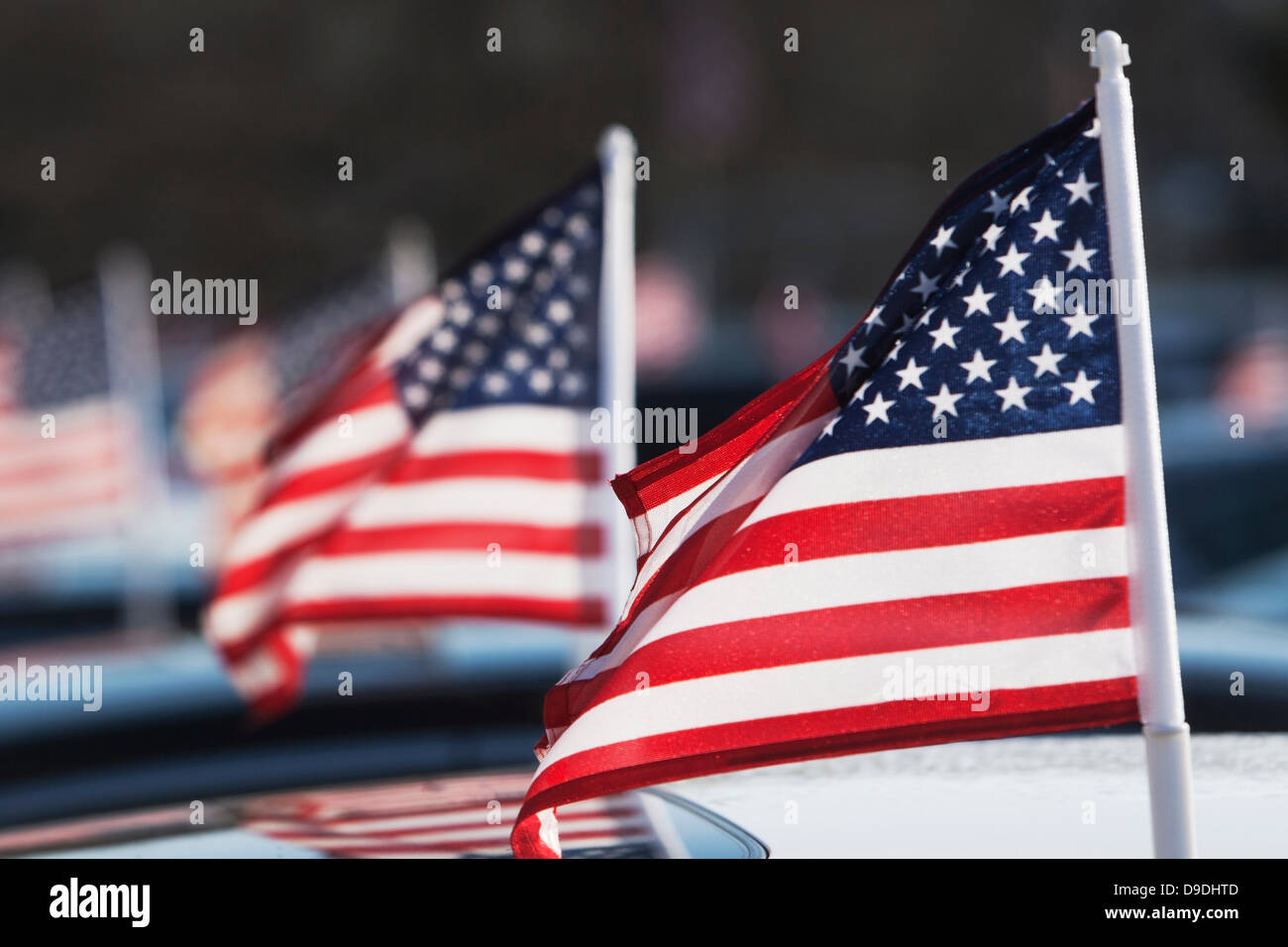 American flags on car roof Stock Photo Alamy