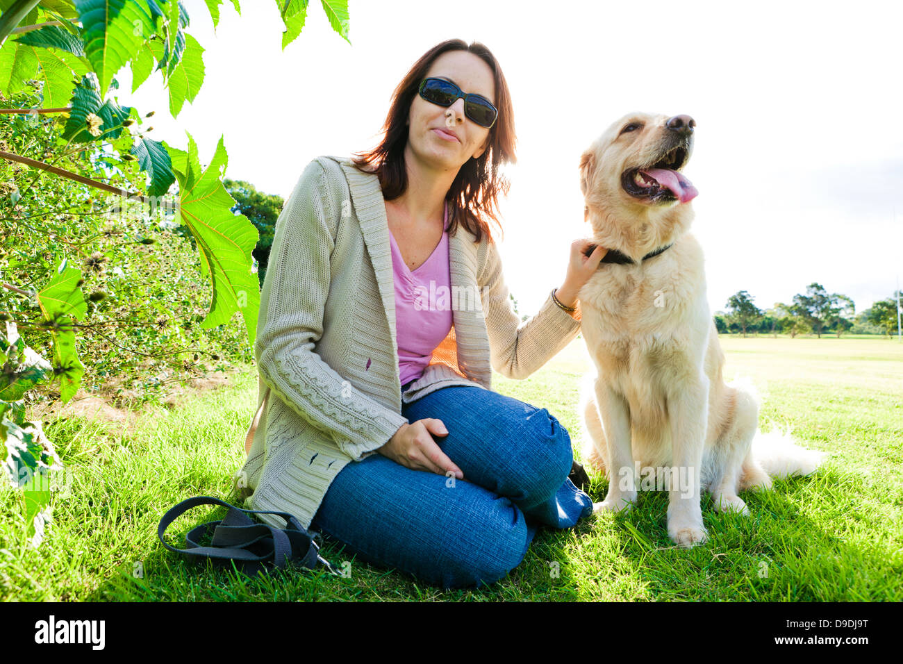 Young woman and golden retriever sitting in the grass| Stock Photo - Alamy