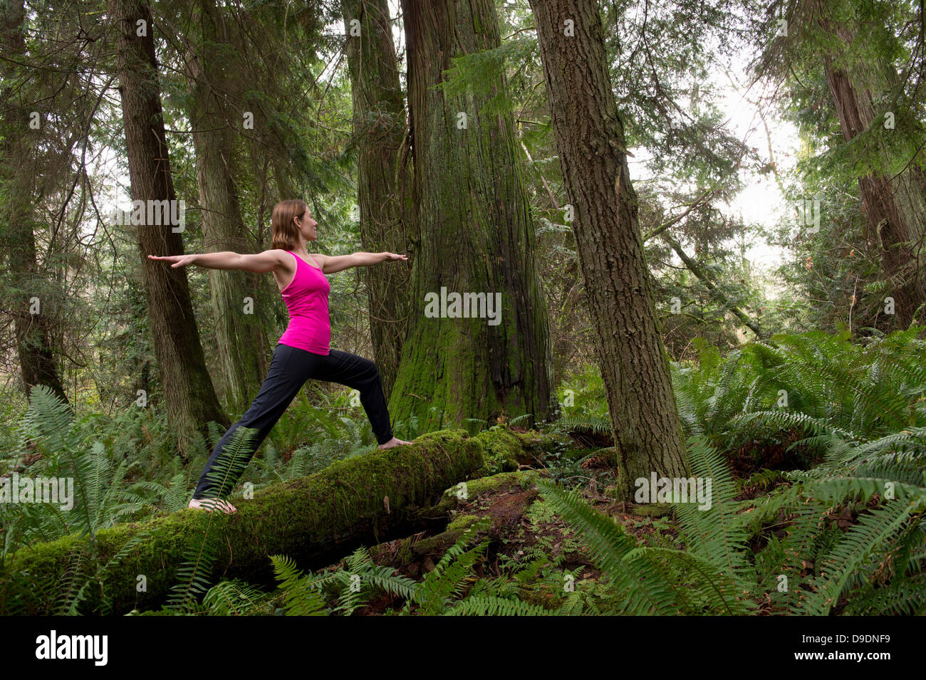 The forest warrior hi-res stock photography and images - Alamy