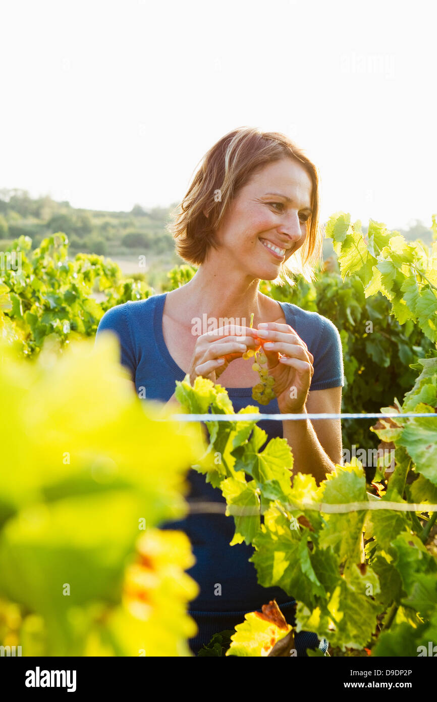 Woman in vineyard Stock Photo