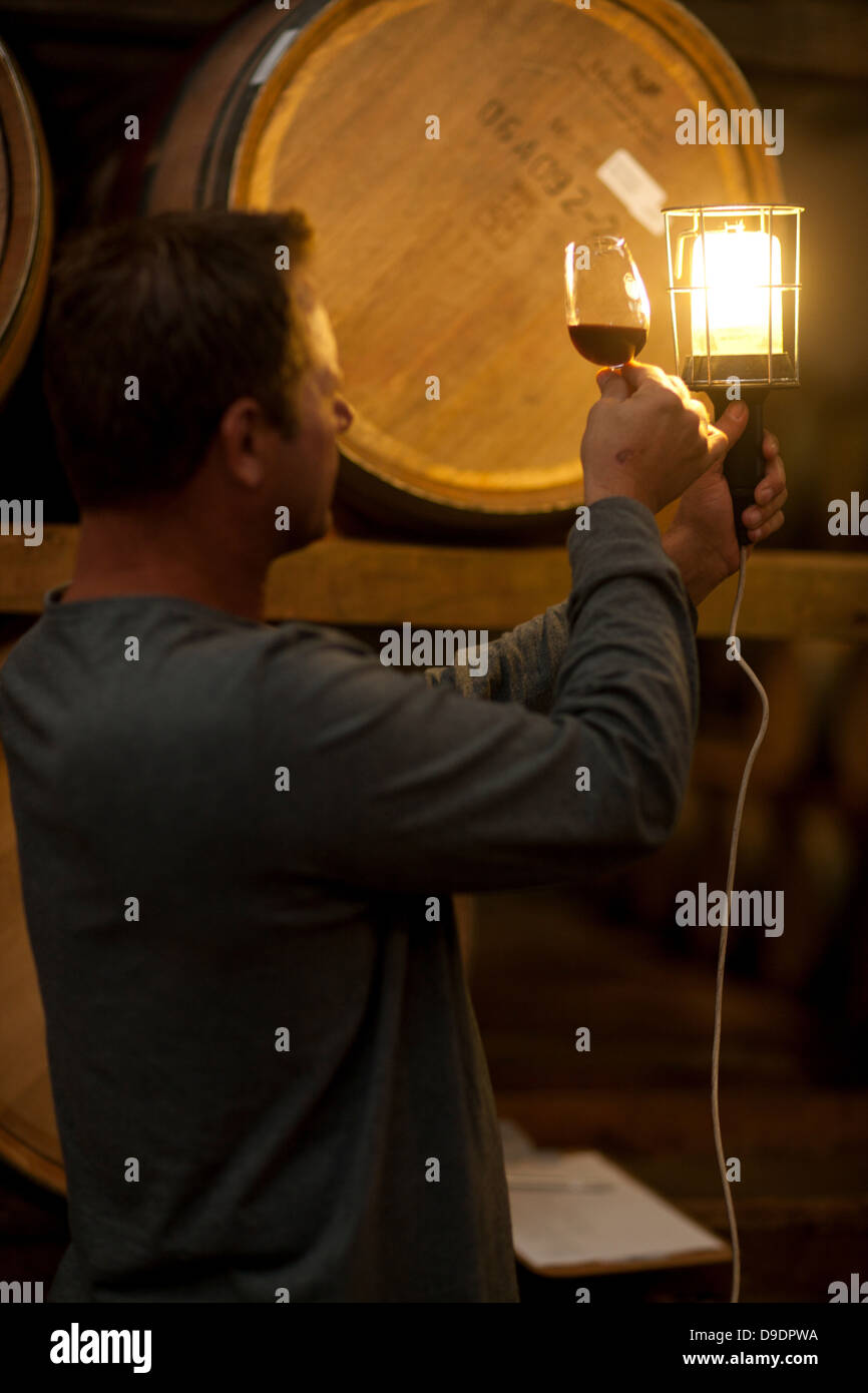 Checking wine aging in barrels Stock Photo