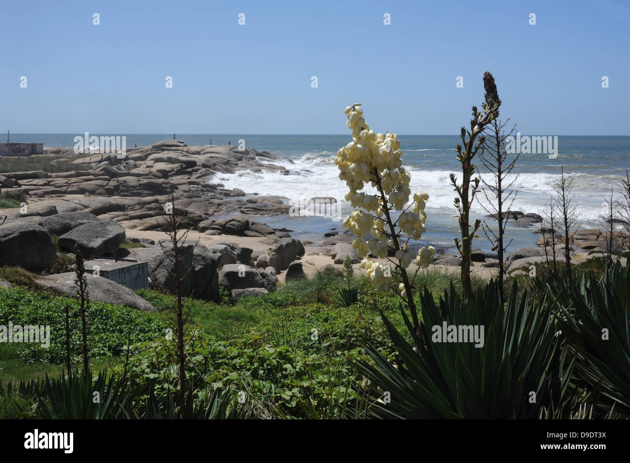 The coast at Punta del Diablo on Uruguay Stock Photo
