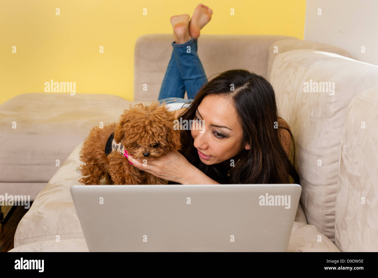 Mid adult female lying on sofa with dog looking at laptop Stock Photo