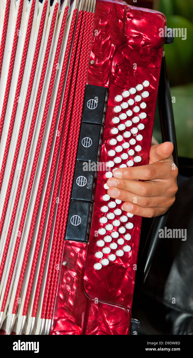 Closeup detail of hands playing a red accordion instrument Stock Photo