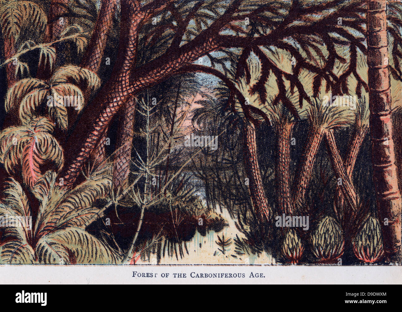 Impression of forest during Upper Carboniferous Period. Stock Photo