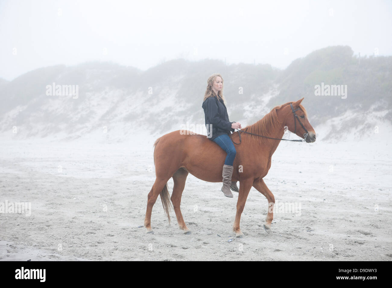 Woman riding horse on beach Stock Photo