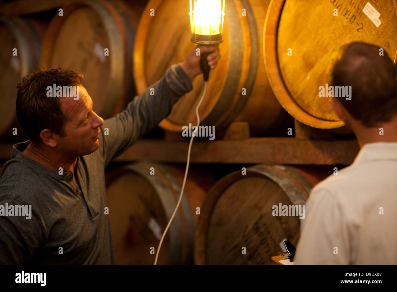 Checking wine aging in barrels Stock Photo Alamy