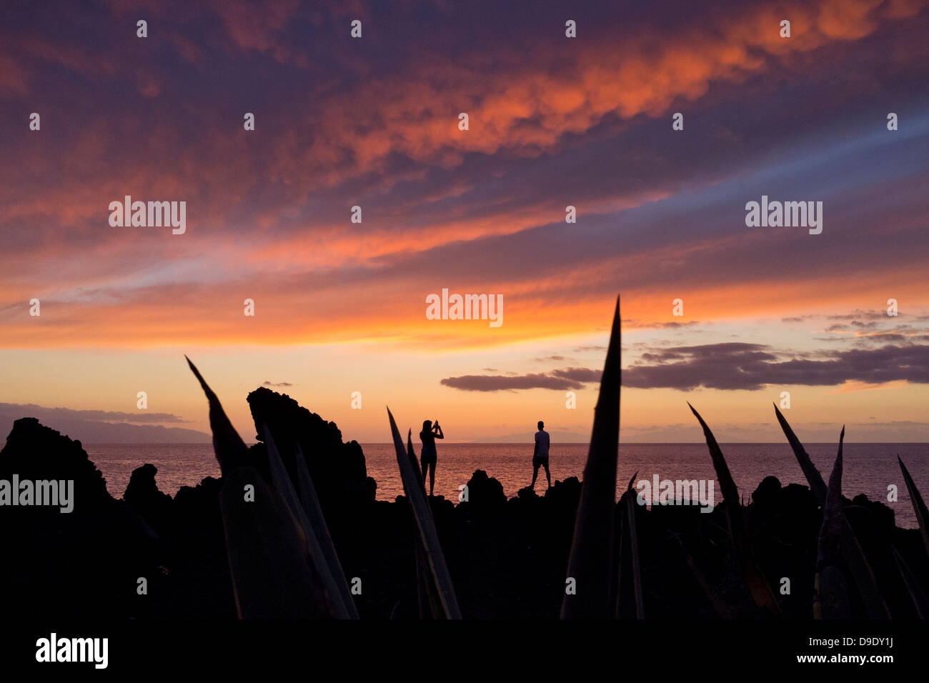 Women watching the sunset hi-res stock photography and images - Alamy