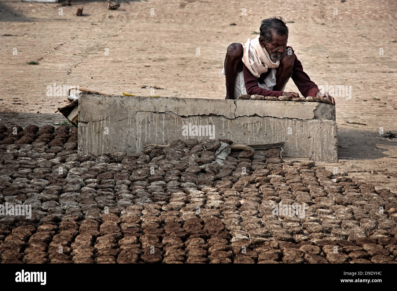 Elder man making cow dung cakes used as cooking fuel. Varanasi, Benares