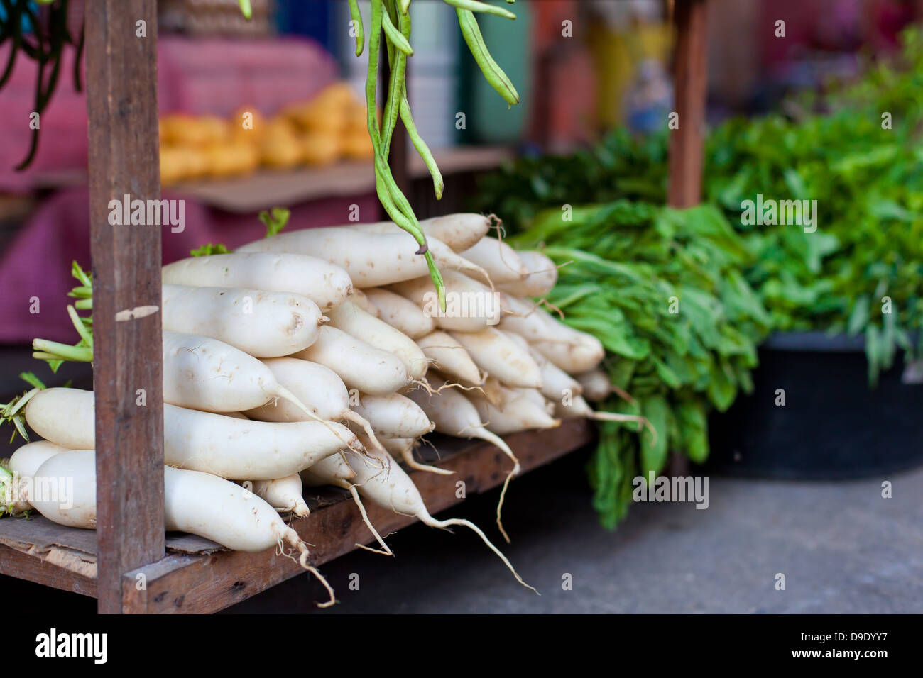 Japanese radish on asian market Stock Photo Alamy