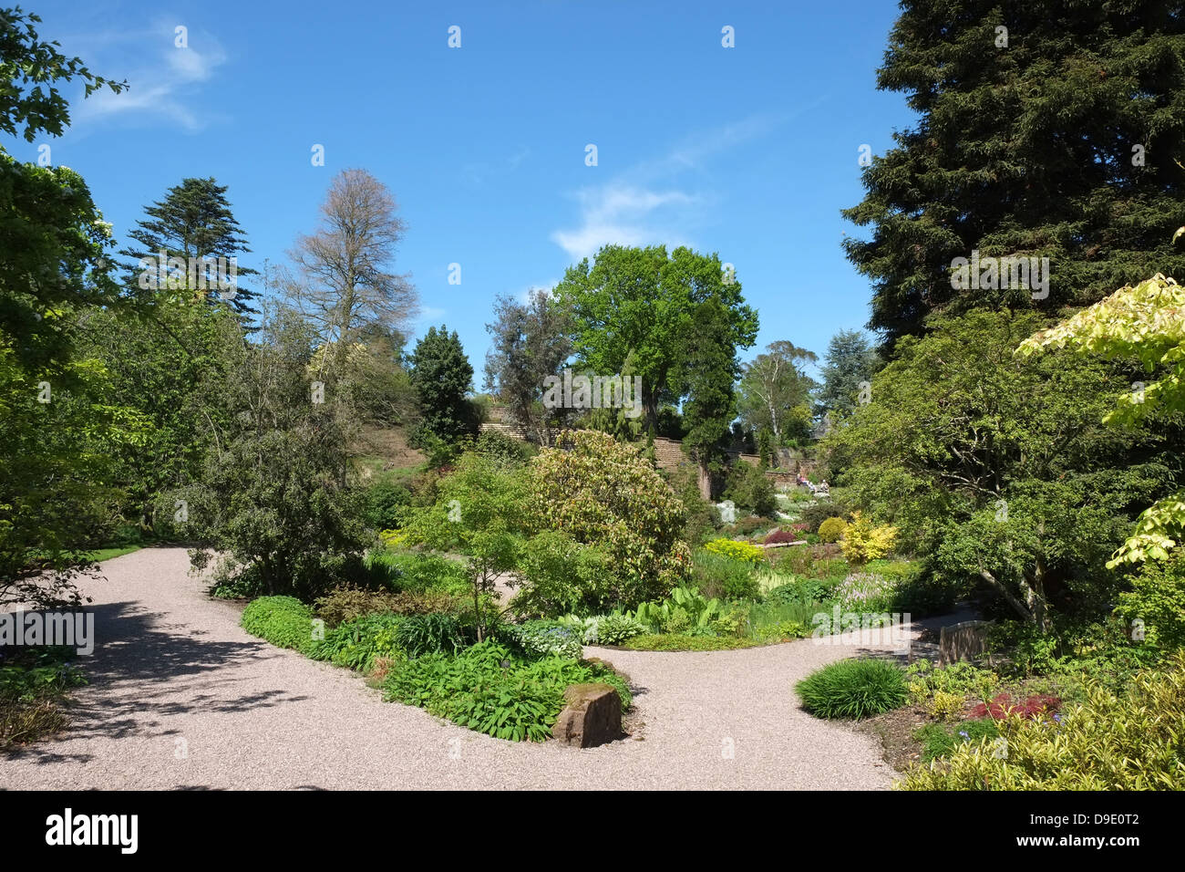 UK, Cheshire, Ness Botanic Gardens Stock Photo
