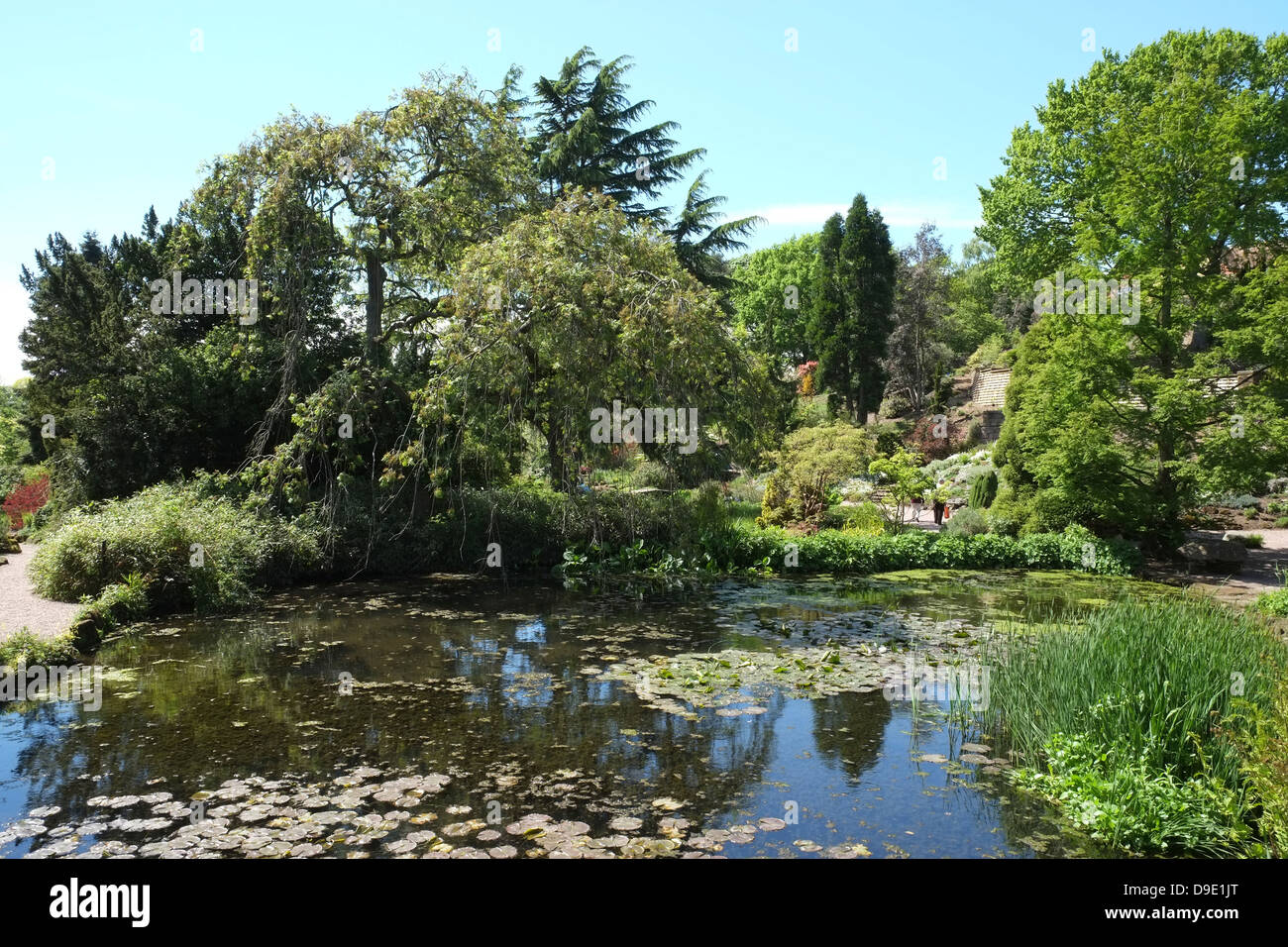 UK, Cheshire, Ness Botanic Gardens Stock Photo Alamy