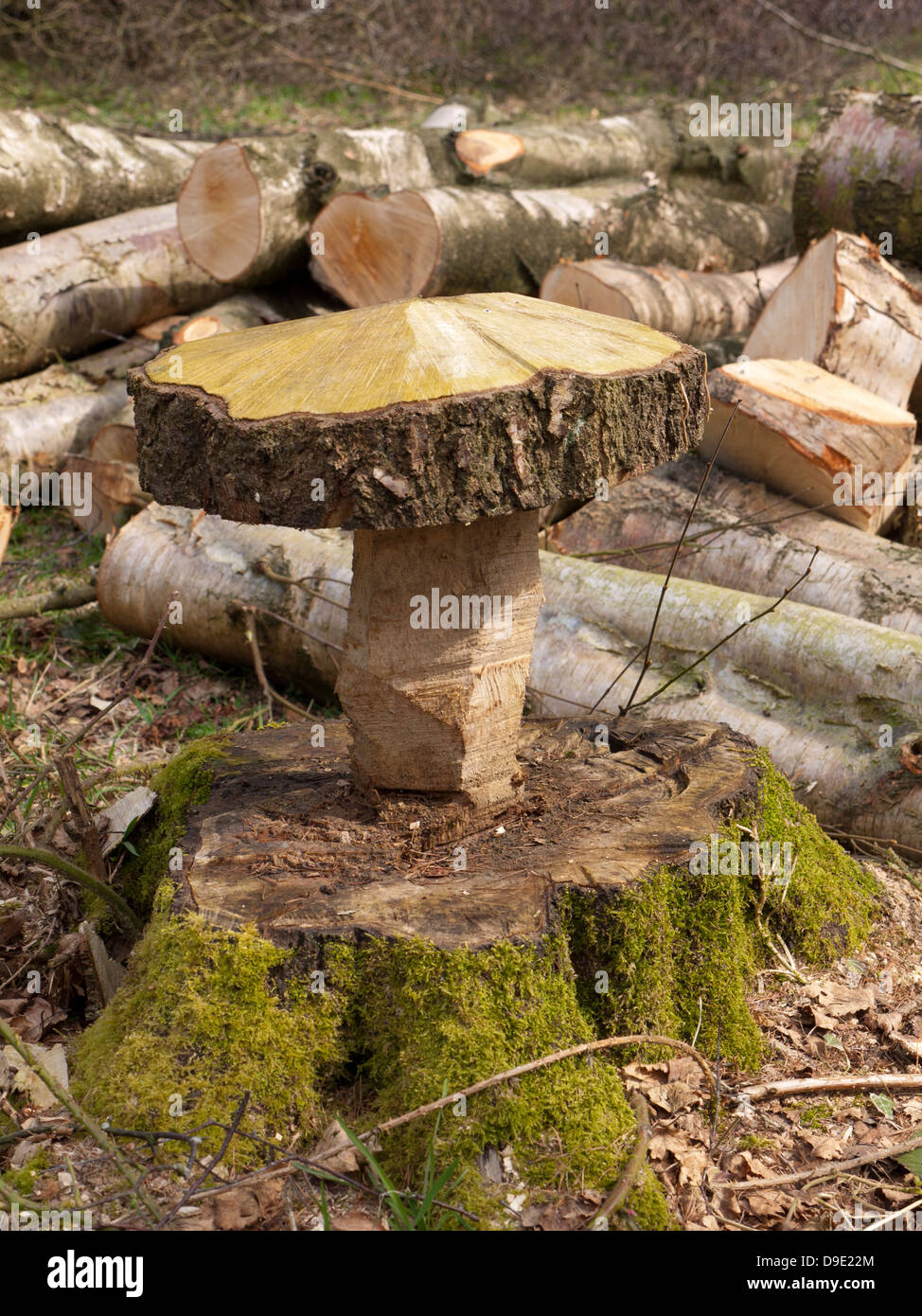 Uk, Cheshire, pile of freshly harvested timber and sculpture Stock Photo