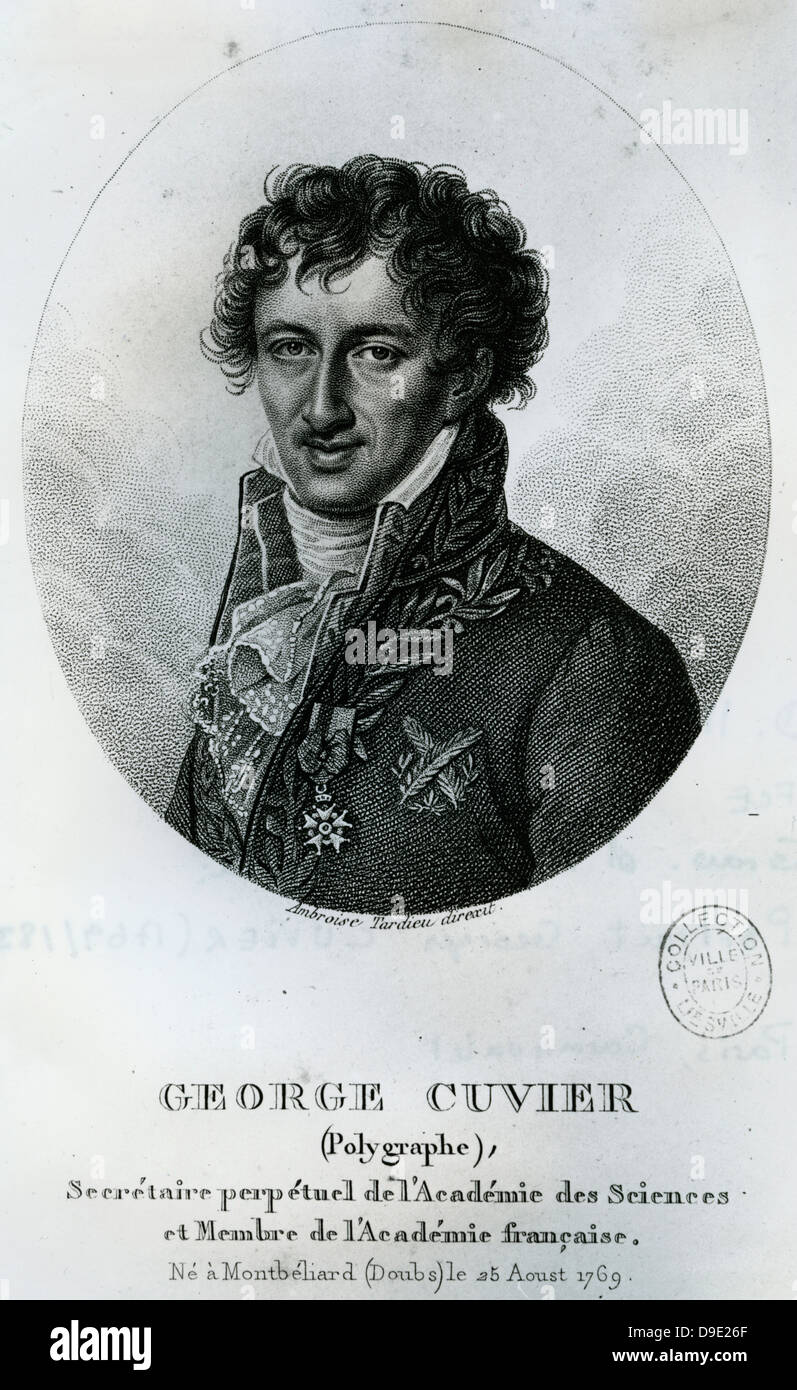 Cuvier (17691832) French naturalist and zoologist Stock Photo