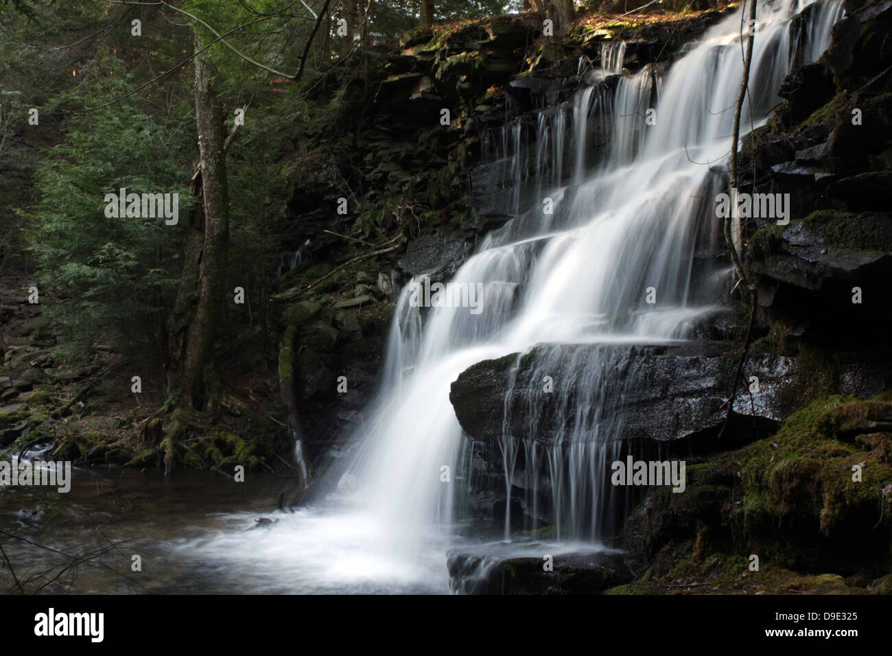 WATERFALL WATER ROCKS TREES IN LOGANTON, ROSECRANS, CLINTON COUNTY