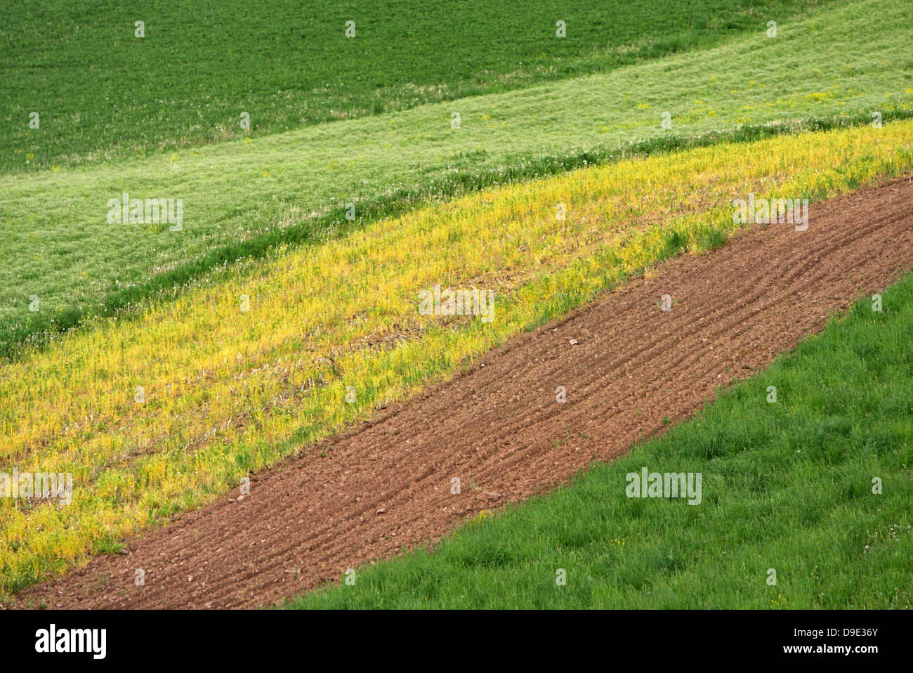 SOIL DIRT FARM FIELD YELLOW GREEN PLOWED SPRING FARM Stock Photo