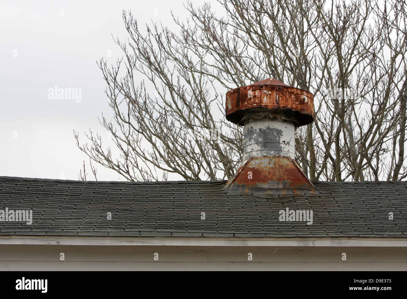 RUSTY OLD CHIMNEY ROOF SHINGLES TREE BRANCHES Stock Photo