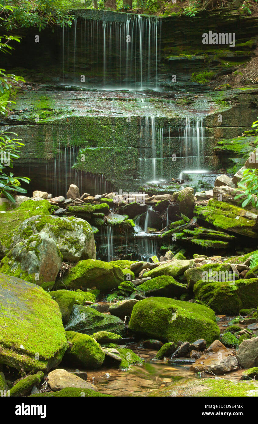 ROUND ISLAND RUN WATERFALL CLINTON COUNTY PENNSYLVANIA USA Stock Photo