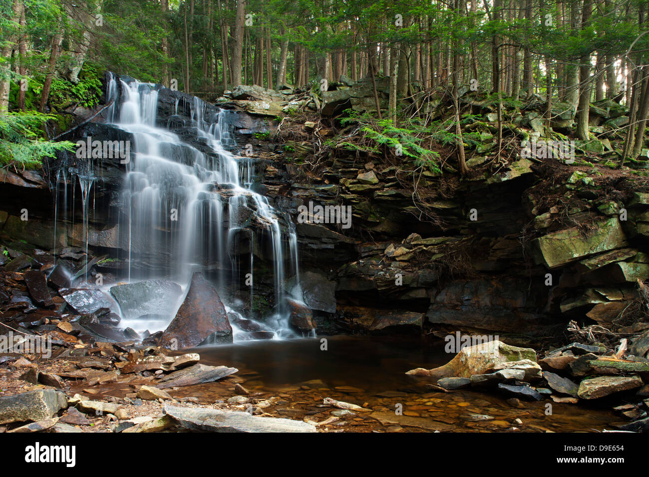 DUTCHMAN FALLS LOYALSOCK CREEK LOYALSOCK STATE FOREST SULLIVAN COUNTY