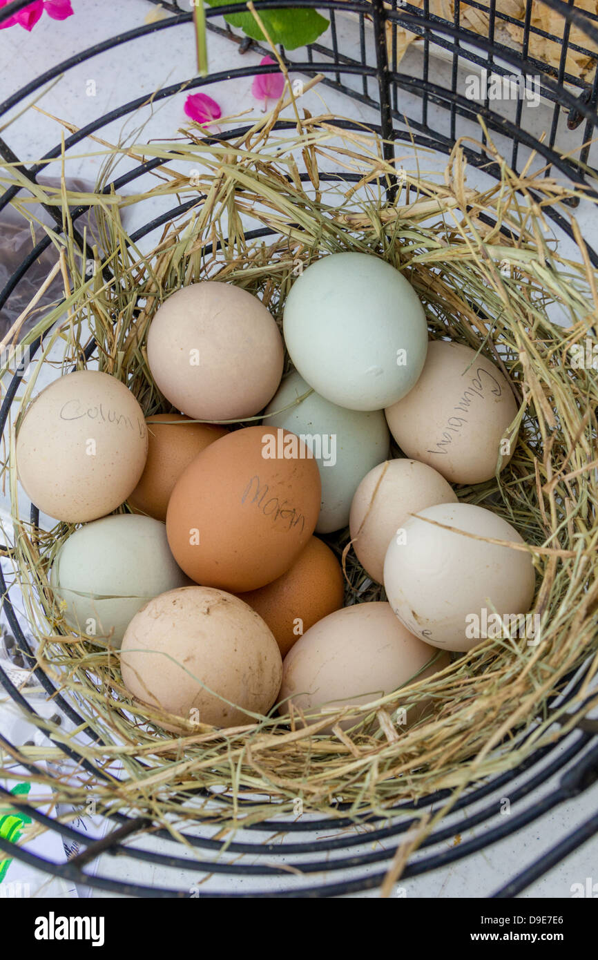 Hen House Eggs Stock Photos & Hen House Eggs Stock Images Alamy