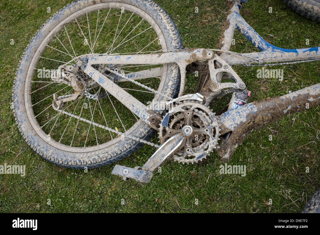 Dyfi enduro online