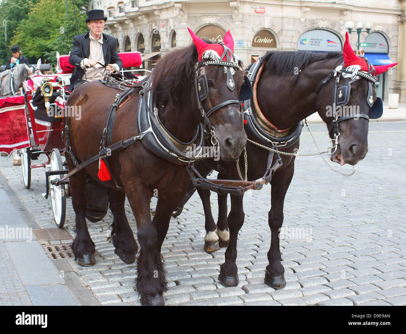 Prague Old Town horse drawn carriage for city tour Stock Photo