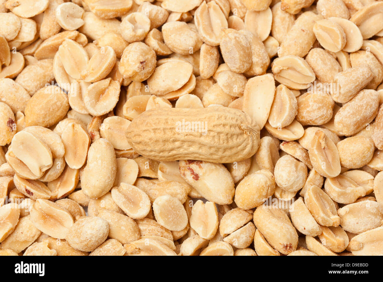 Fresh Dry Organic Peanuts against a background Stock Photo Alamy