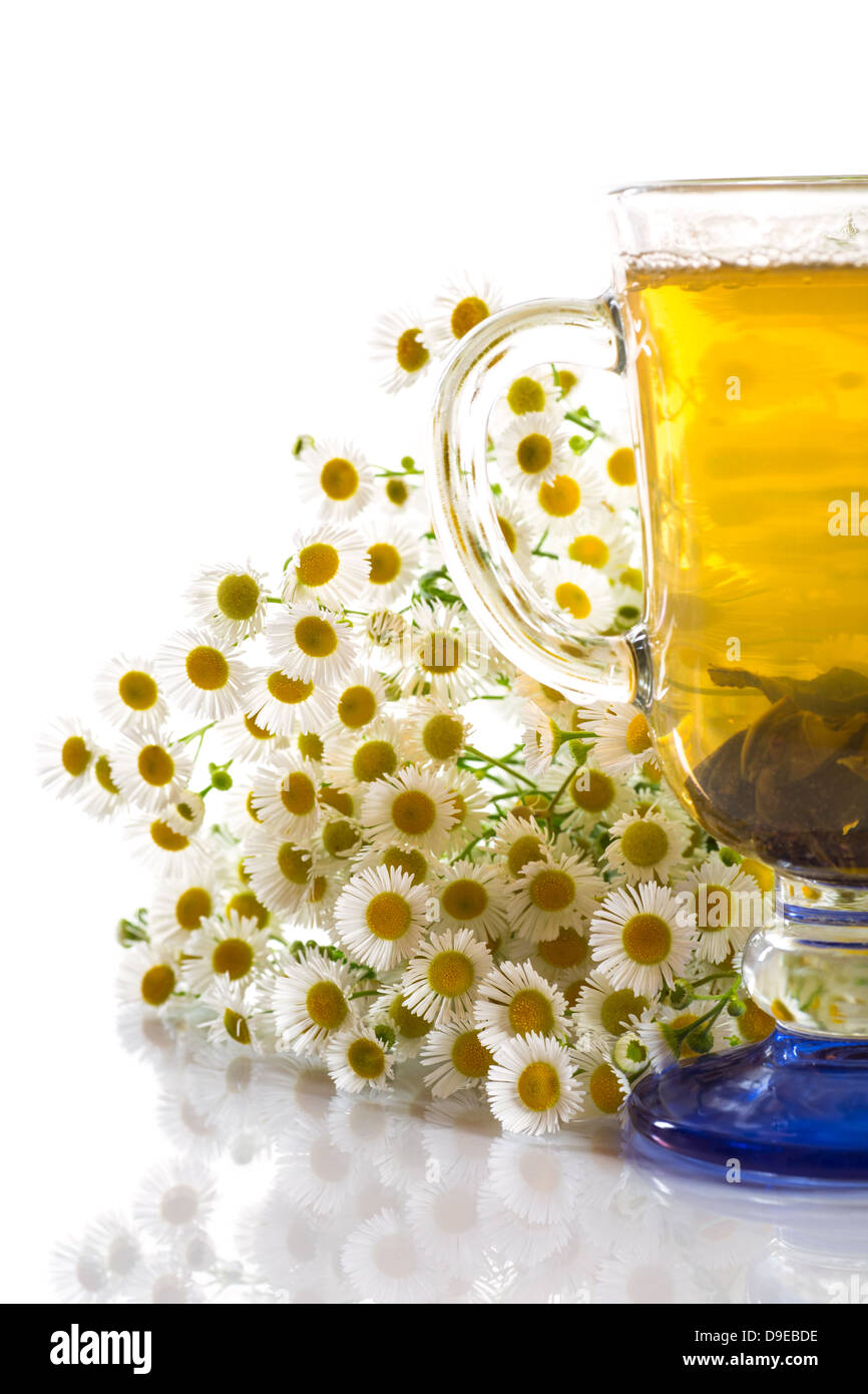 herbal tea with chamomile Stock Photo Alamy