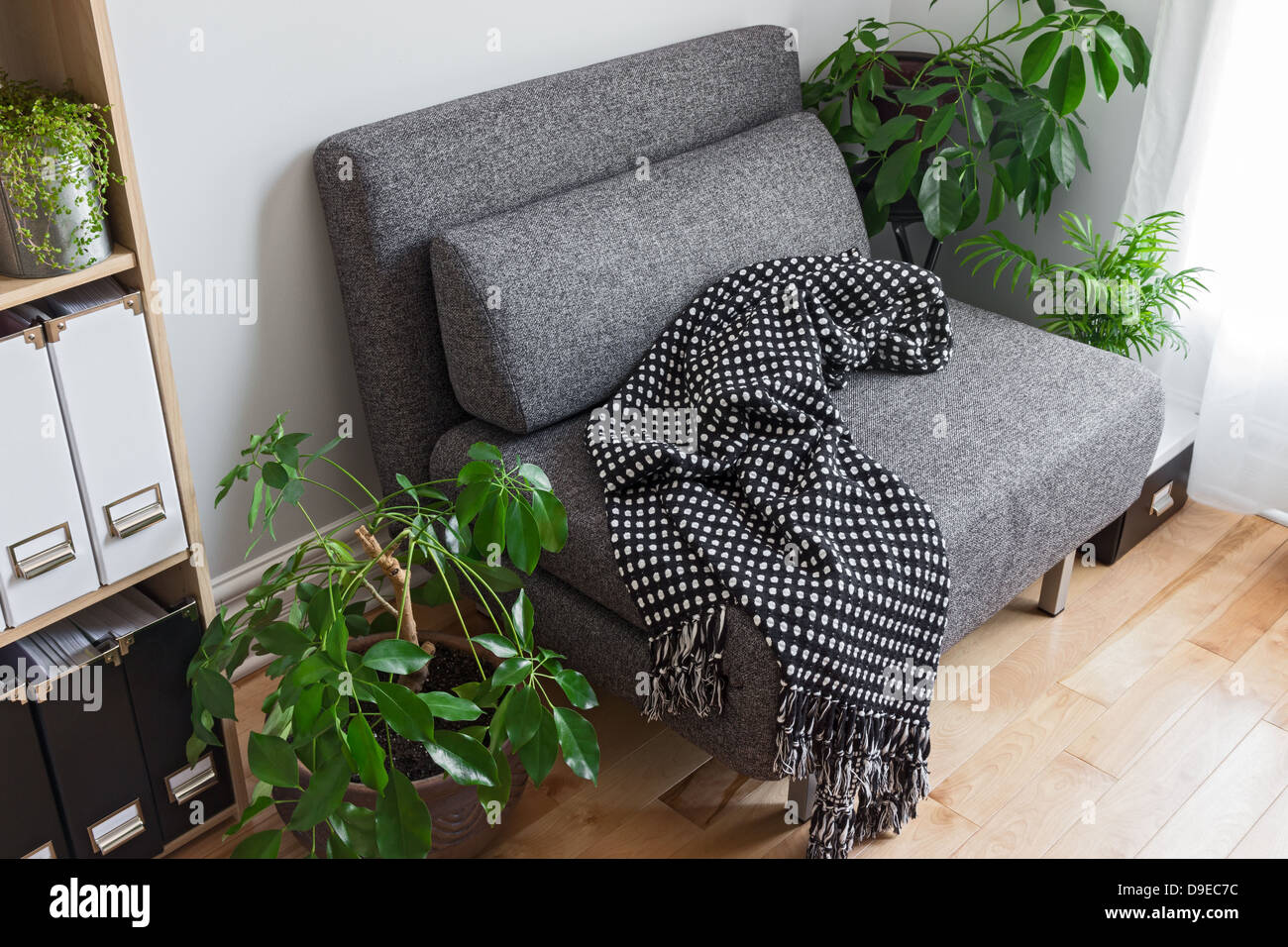 Living room with bright green plants, bookshelf and gray armchair Stock