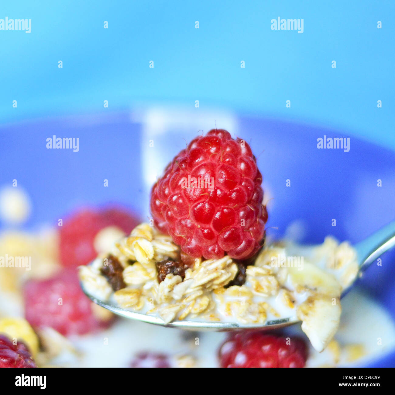 Myseli Raspberry Muesli with fresh fruits raspberries Stock Photo - Alamy