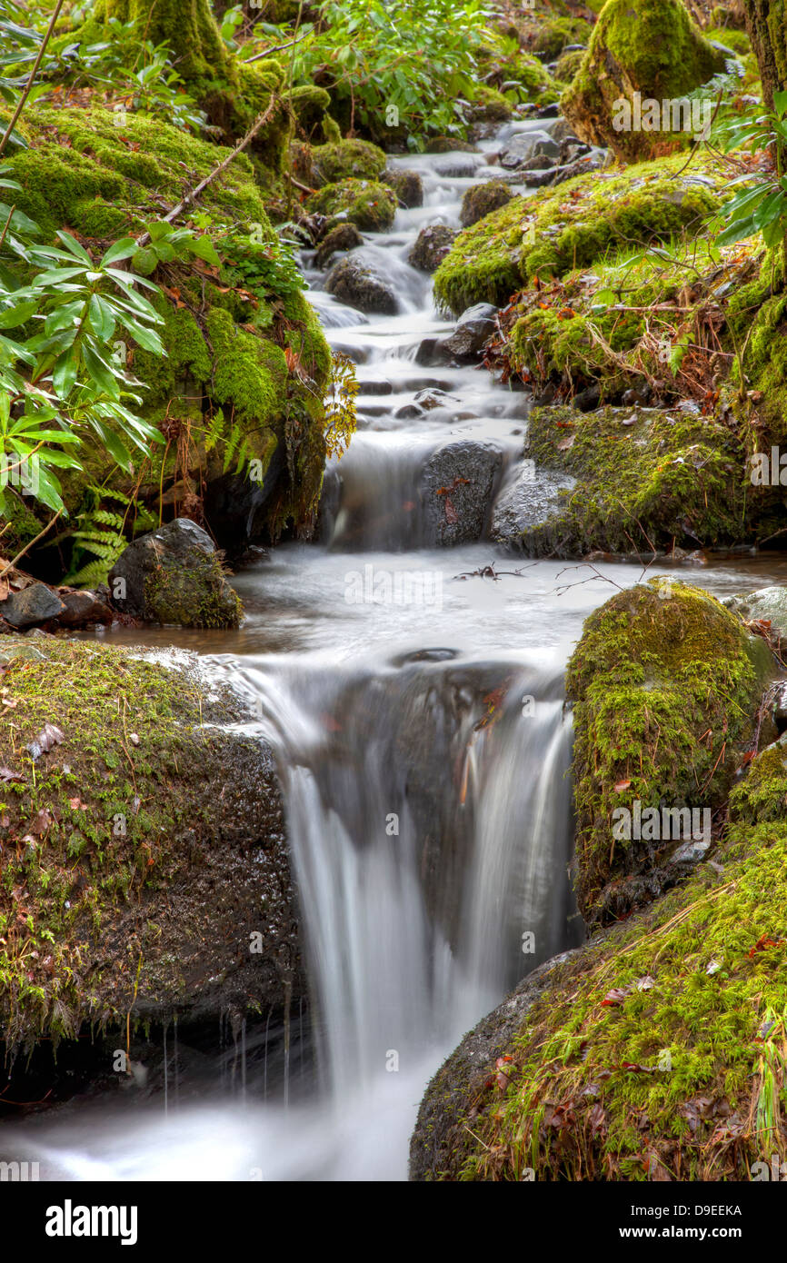 Woodland waterfall hi-res stock photography and images - Alamy