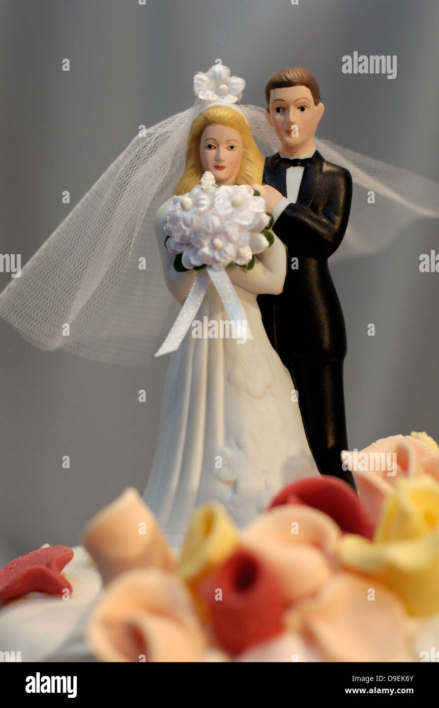 Bridegroom bride wedding dress bride and groom bridal veil bridal