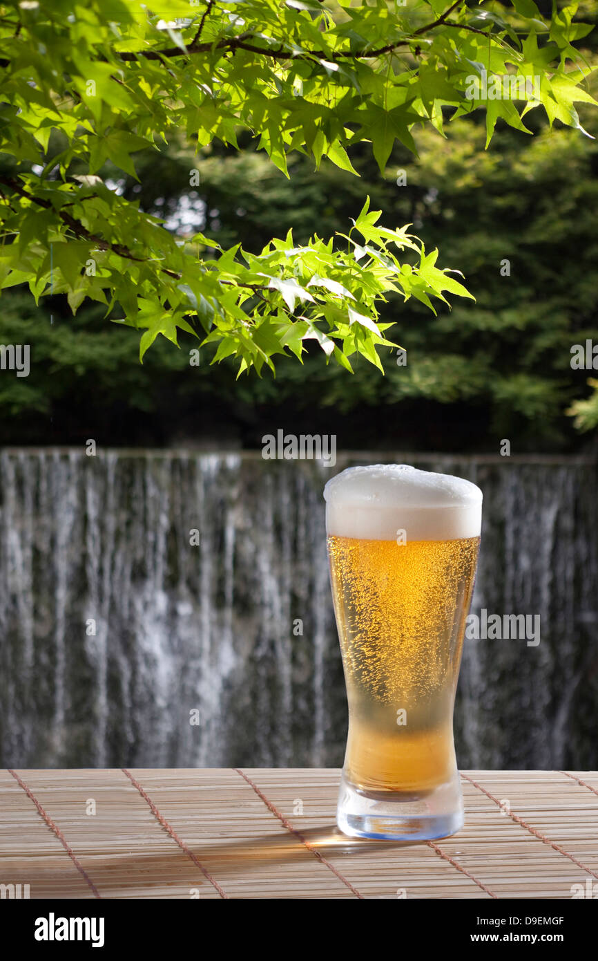 Beer and maple leaves Stock Photo