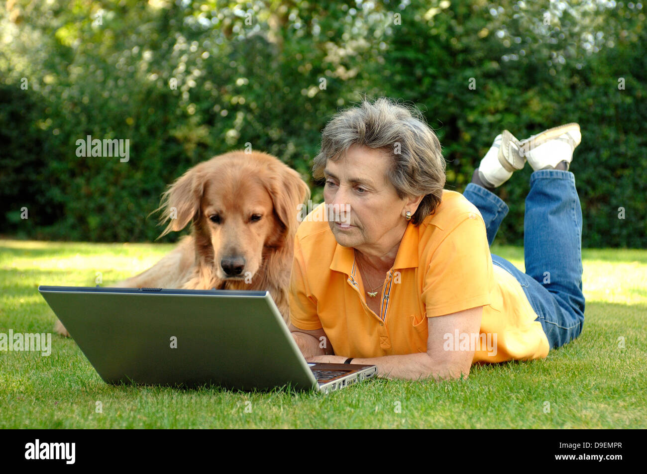 Senior on meadow recumbent, in the laptop laboringly. On her side a recumbent dog (Model release) Stock Photo