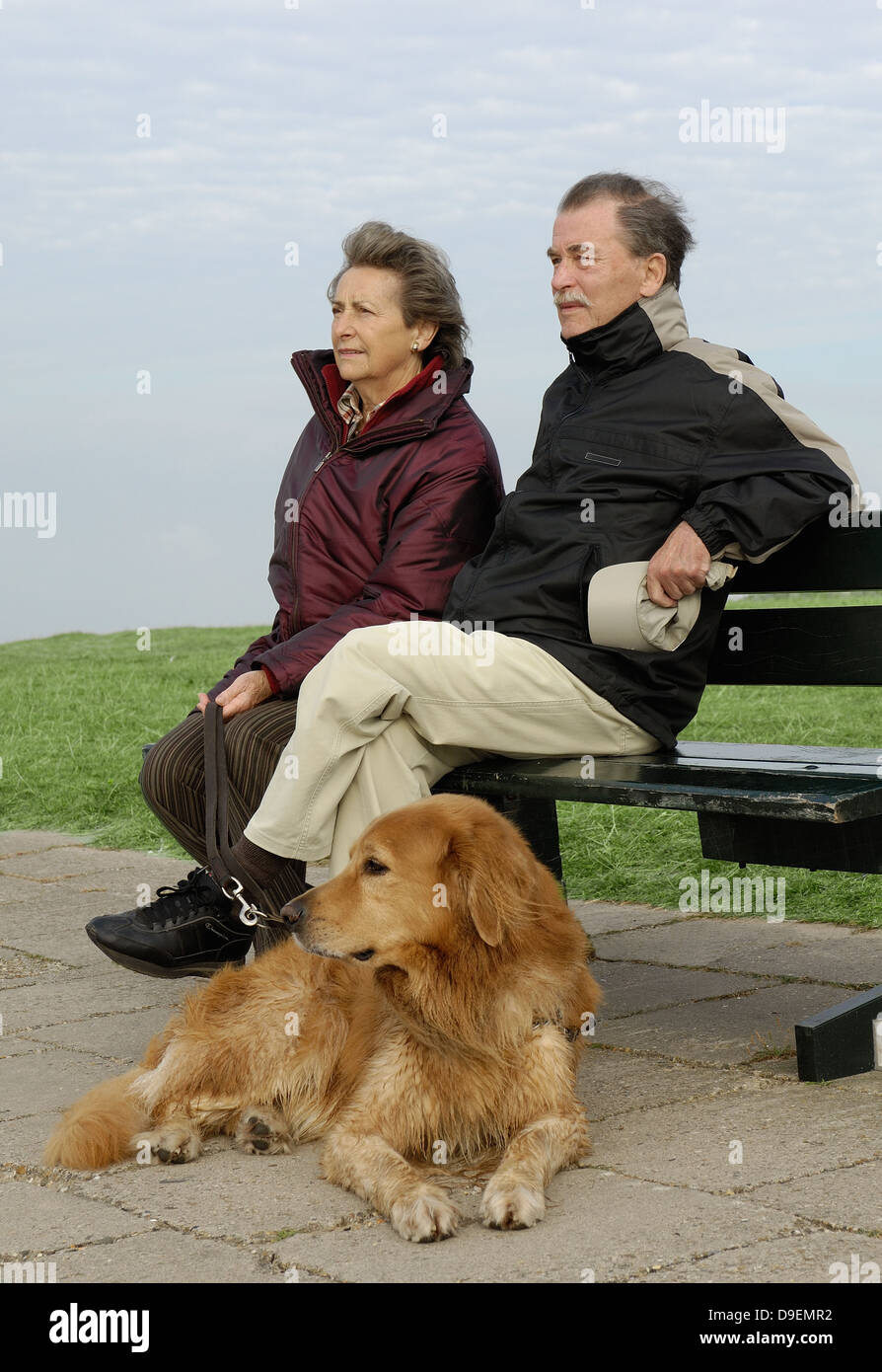 Senior citizen's pair on a bank seated. Besides a recumbent dog. (Model release) Stock Photo