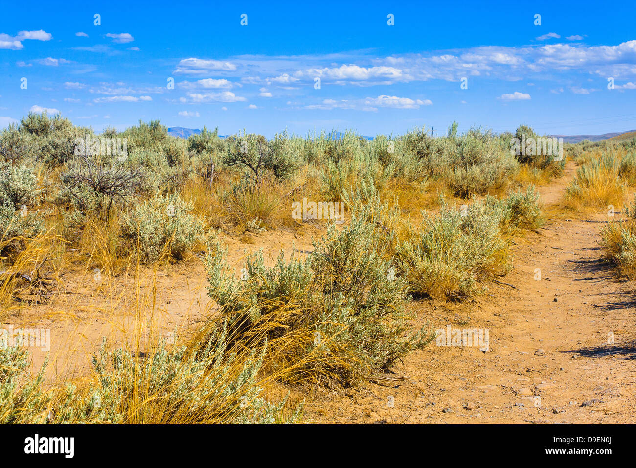 Remaining wagon ruts of Oregon Trail surrounded by sagebrush on partly cloudy day in Baker City, Oregon Stock Photo